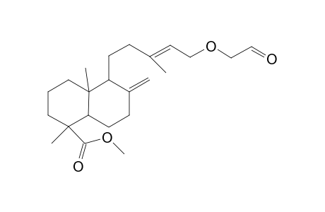 15-(carbonylmethyl)-19-methoxycarbonyl-8(17),E-13-labdadiene