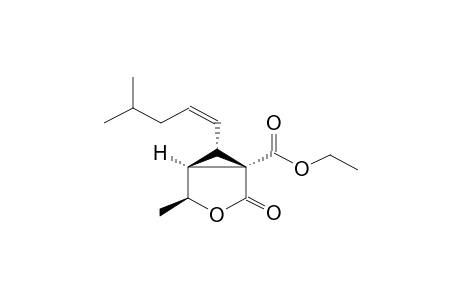 1-ETHOXYCARBONYL-4-METHYL-6-(Z-4-METHYL-1-PENTENYL)-3-OXABICYCLO[3.1.0]HEXAN-2-ONE