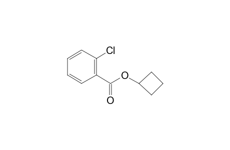 Cyclobutyl 2-chlorobenzoate