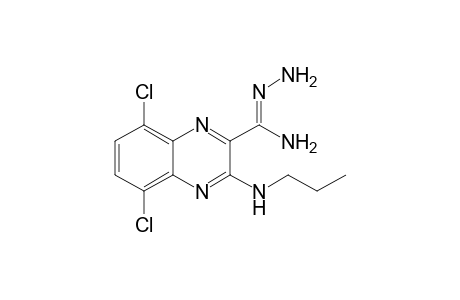 5,8-Dichloro-3-propylamino-2-quinoxalinylcarboxamidrazone