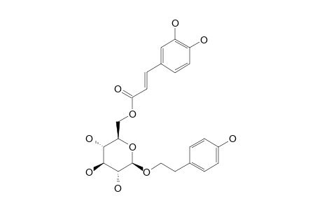 2-(4-HYDROXYPHENYL)-EHTYL-(6-O-CAFFEOYL)-BETA-D-GLUCOPYRANOSIDE