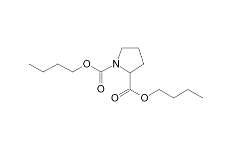 L-Proline, N-butoxycarbonyl-, butyl ester