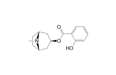 o-Hydroxytropacocaine