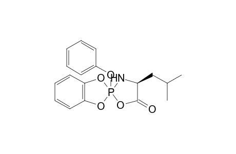 (4'S)-4'-isobutyl-2-phenoxy-spiro[1,3,2.lambda.5-benzodioxaphosphole-2,2'-1-oxa-3-aza-2.lambda.5-phosphacyclopentane]-5'-one