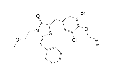 (2Z,5Z)-5-[3-bromo-5-chloro-4-(2-propynyloxy)benzylidene]-3-(2-methoxyethyl)-2-(phenylimino)-1,3-thiazolidin-4-one