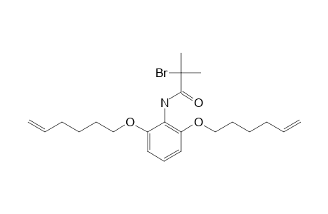N-[2,6-BIS-(HEX-5-ENYLOXY)-PHENYL]-2-BROMO-2-METHYLPROPANOYLAMIDE
