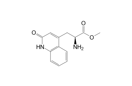 Methyl (+)-(2S)-Amino-3-[2(1H)-quinolinon-4-yl]propionate