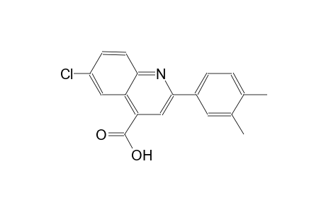 6-chloro-2-(3,4-dimethylphenyl)-4-quinolinecarboxylic acid