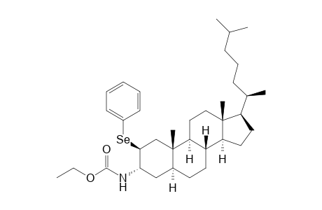 Carbamic acid, [(2.beta.,3.alpha.,5.alpha.)-2-(phenylseleno)cholestan-3-yl]-, ethyl ester