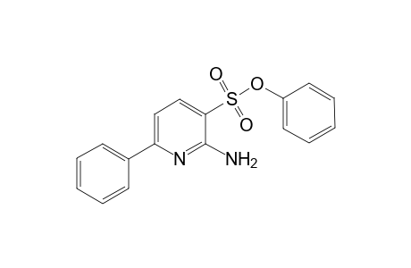 Phenyl 2-Amino-6-phenylpyidine-3-sulfonate