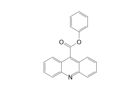 Phenyl 9-acridinecarboxylate