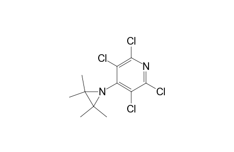 Pyridine, 2,3,5,6-tetrachloro-4-(2,2,3,3-tetramethyl-1-aziridinyl)-