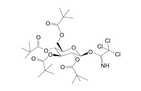 O-(2,3,4,6-Tetra-O-pivaloyl-b-d-glucopyranosyl)-trichloroacetimidate