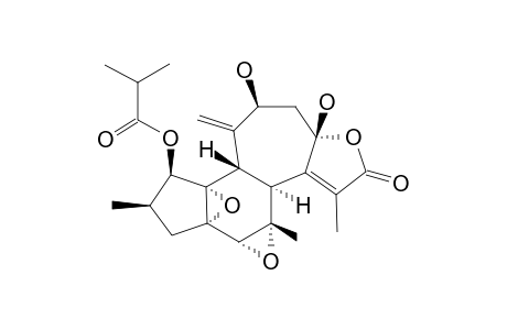 CROTOCASCARIN-H