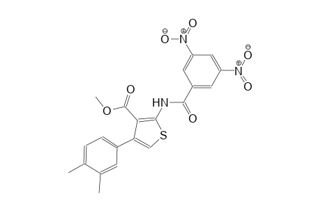 methyl 4-(3,4-dimethylphenyl)-2-[(3,5-dinitrobenzoyl)amino]-3-thiophenecarboxylate