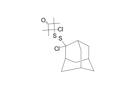 (2-CHLOROADAMANTAN-2-YL)-(1-CHLORO-2,2,4,4-TETRAMETHYL-3-OXOCYCLOBUTAN-1-YL)-DISULFIDE