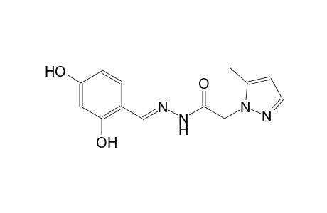 N'-[(E)-(2,4-dihydroxyphenyl)methylidene]-2-(5-methyl-1H-pyrazol-1-yl)acetohydrazide