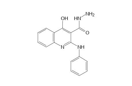 2-ANILINO-4-HYDROXY-3-QUINOLINECARBOXYLIC ACID, HYDRAZIDE