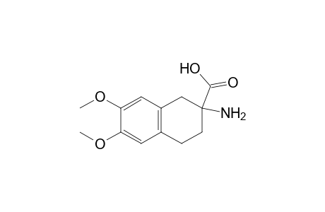 2-Amino-1,2,3,4-tetrahydro-6,7-dimethoxynaphthalene-2-carboxylic acid