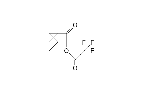2-endo-Trifluoroacetoxy-bicyclo(2.2.1)heptan-3-one