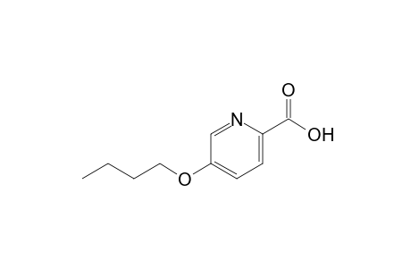 5-butoxypicolinic acid