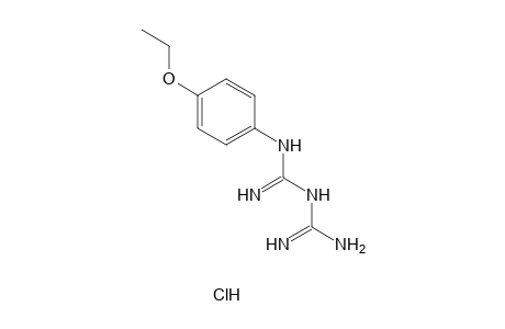 1-(p-ETHOXYPHENYL)BIGUANIDE, HYDROCHLORIDE