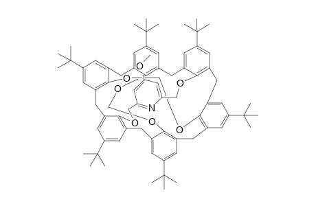 5,11,17,23,29,35-Hexa(t-butyl)-37,40 : 38,41-bis(methylenedioxy)-39,42-[(2',6'-(4'-Methoxypyridine)iyl)-bis(methyleneoxy)]calix[6]arene