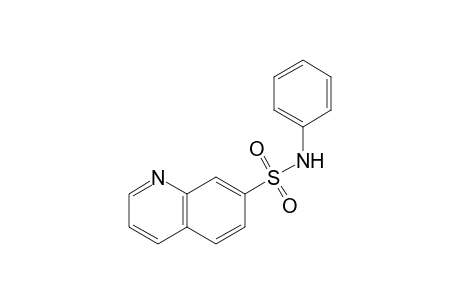 N-Phenyl-7-quinolinesulfonamide