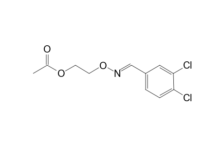 (E)-3-{[2,4-(dichloro)benzylidene]amino}oxyethyl acetate