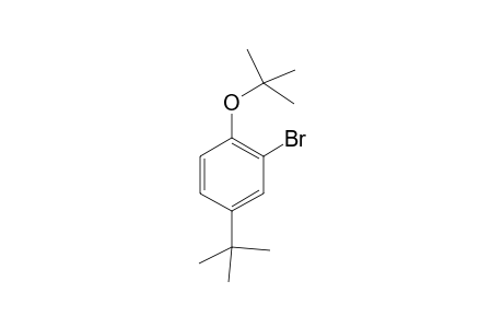 4-tert-Buyl-2-bromo-1-tert-butyloxybenzene