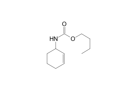 N-(Cyclohex-2-enyl)-n-butyl carbamate