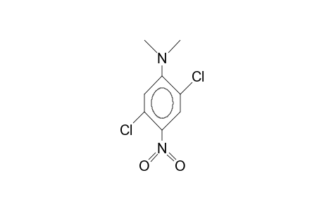 2,5-Dichloro-N,N-dimethyl-4-nitro-aniline