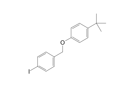 1-tert-Butyl-4-(4-iodobenzyloxy)benzene