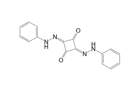Cyclobutenetetraone 1,3-bis(phenylhydrazone)