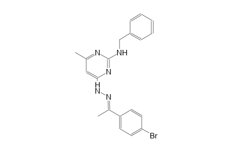 (1E)-1-(4-bromophenyl)ethanone [2-(benzylamino)-6-methyl-4-pyrimidinyl]hydrazone