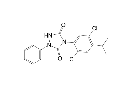 N-(2,5-dichloro-p-cumenyl)-2-phenylbicarbamimide