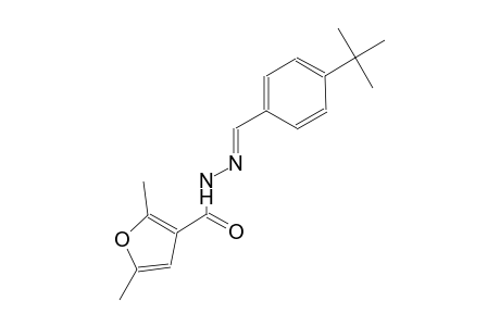 N'-[(E)-(4-tert-butylphenyl)methylidene]-2,5-dimethyl-3-furohydrazide