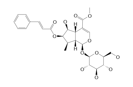 7-O-trans-CINNAMOYL-6B-HYDROXYLOGANIN