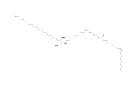 Cer 24:0;2O/14:1;O(FA 18:1)