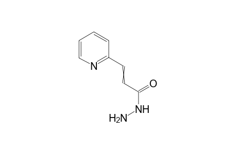 3-(2-Pyridyl)acrylohydrazide