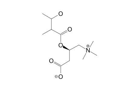 3-HYDROXY-2-METHYLBUTANOYL-CARNITINE