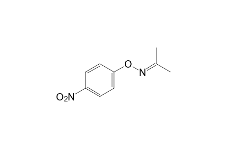 acetone, O-(p-nitrophenyl)oxime