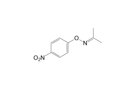 acetone, O-(p-nitrophenyl)oxime