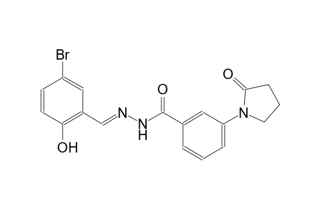 N'-[(E)-(5-bromo-2-hydroxyphenyl)methylidene]-3-(2-oxo-1-pyrrolidinyl)benzohydrazide
