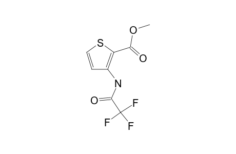 Methyl 3-[(trifluoroacetyl)amino]-2-thiophenecarboxylate