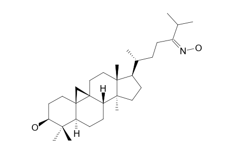 24.-Hydroxyiminocycloart-3-ol