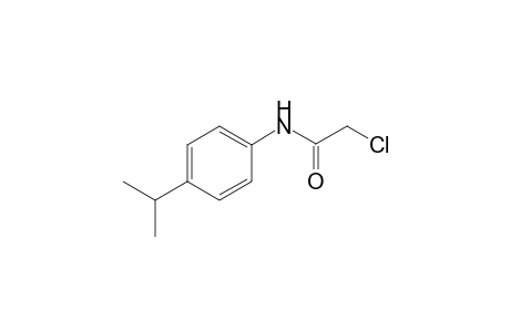 2-Chloro-N-(4-isopropylphenyl)acetamide