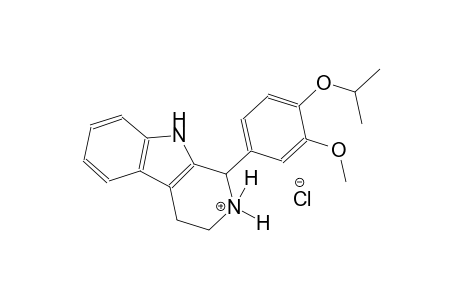 1-(4-isopropoxy-3-methoxyphenyl)-2,3,4,9-tetrahydro-1H-beta-carbolin-2-ium chloride