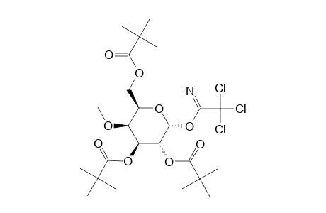 4-O-METHYL-2,3,6-TRI-O-PIVALOYL-ALPHA-D-GALACTOPYRANOSYL-TRICHLOROACETIMIDATE