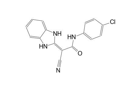 N-(4-chlorophenyl)-2-cyano-2-(1,3-dihydro-2H-benzimidazol-2-ylidene)acetamide